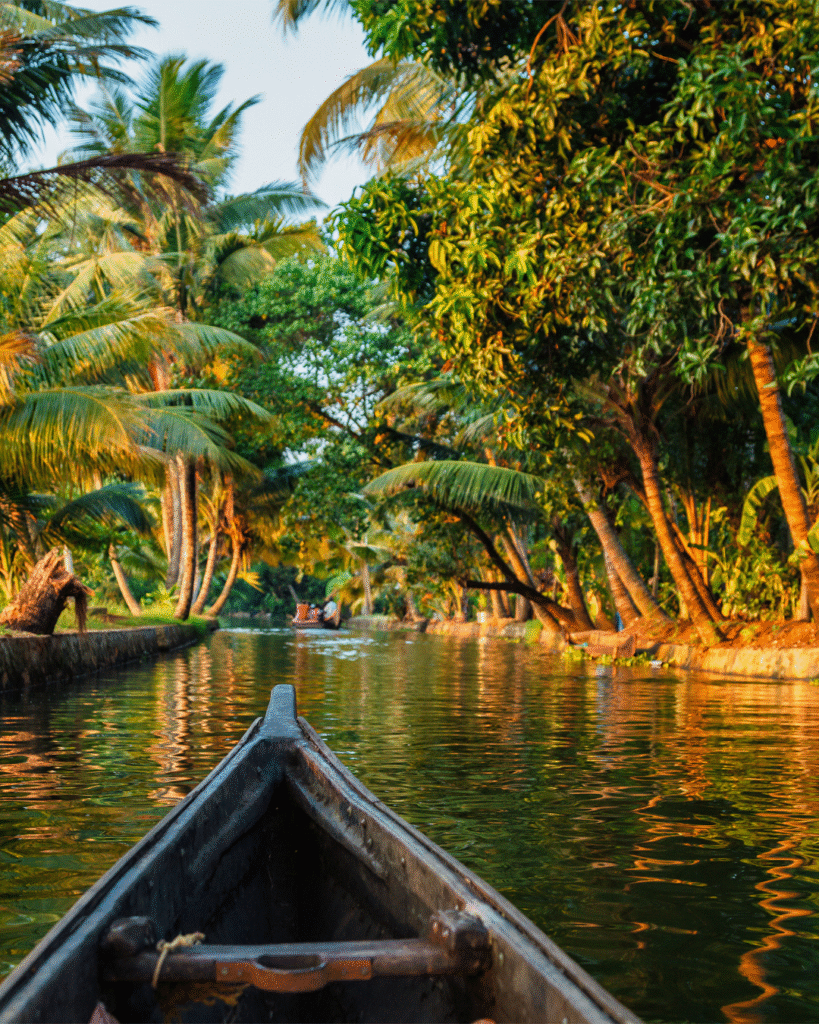 triptovana_travel_Kerala