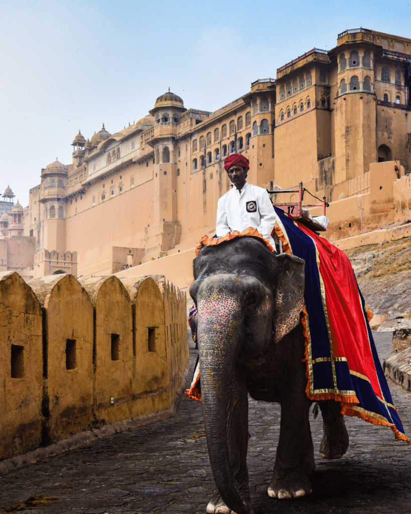 triptovana_travel_Rajsthan